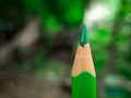 Close up macro shot of wooden green colorÃÂ pencil. Royalty Free Stock Photo